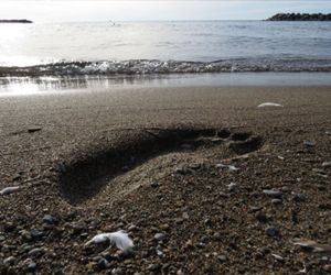 footprint in the sand